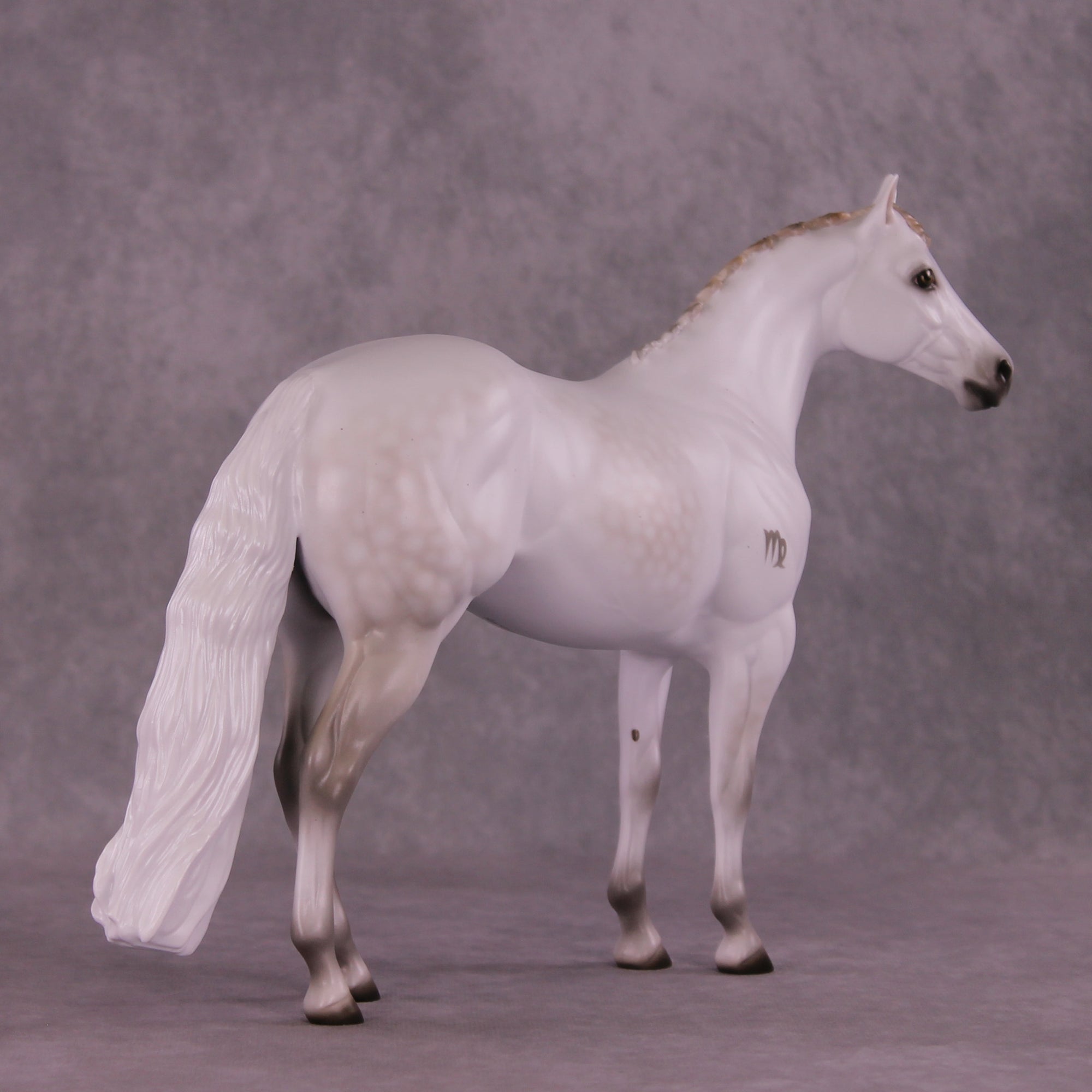 Spica LE-10 FCM Ideal Stock Horse by Ashley Palmer ZS25