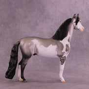 Sliver OOAK Morgan by Dawn Quick DDOOAKs25