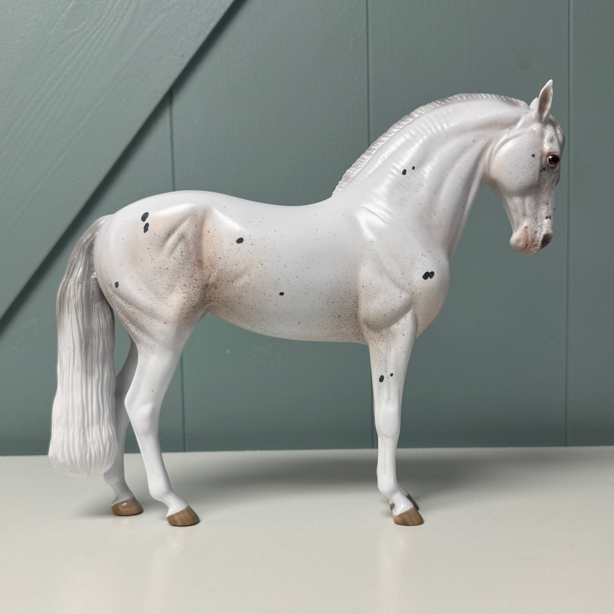 Satellite OOAK Few Spot Appaloosa Andalusian By Jess Hamill EQ24