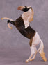 Altair OOAK Rearing Pebble by Anna Rieck Equilocity 2025
