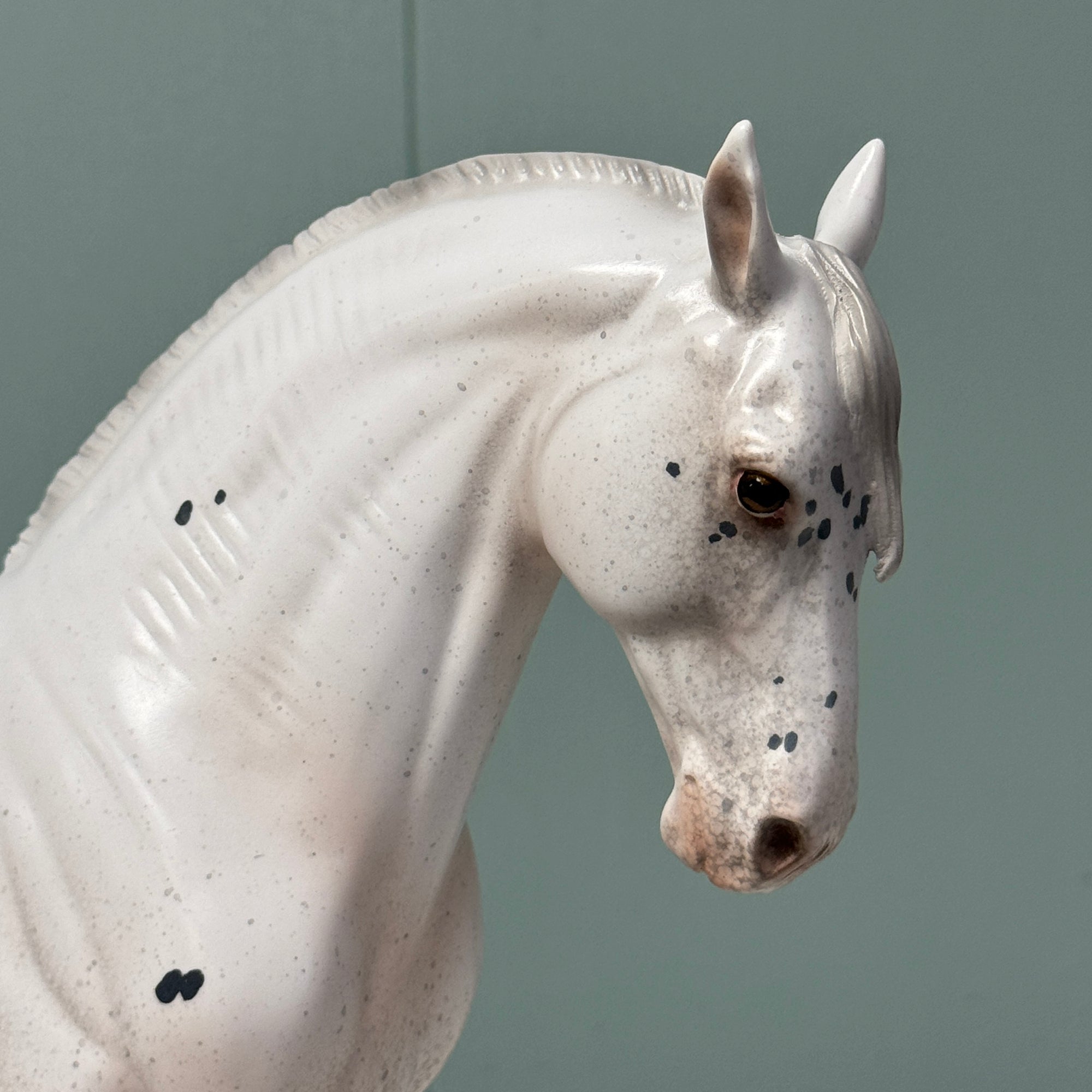 Satellite OOAK Few Spot Appaloosa Andalusian By Jess Hamill EQ24