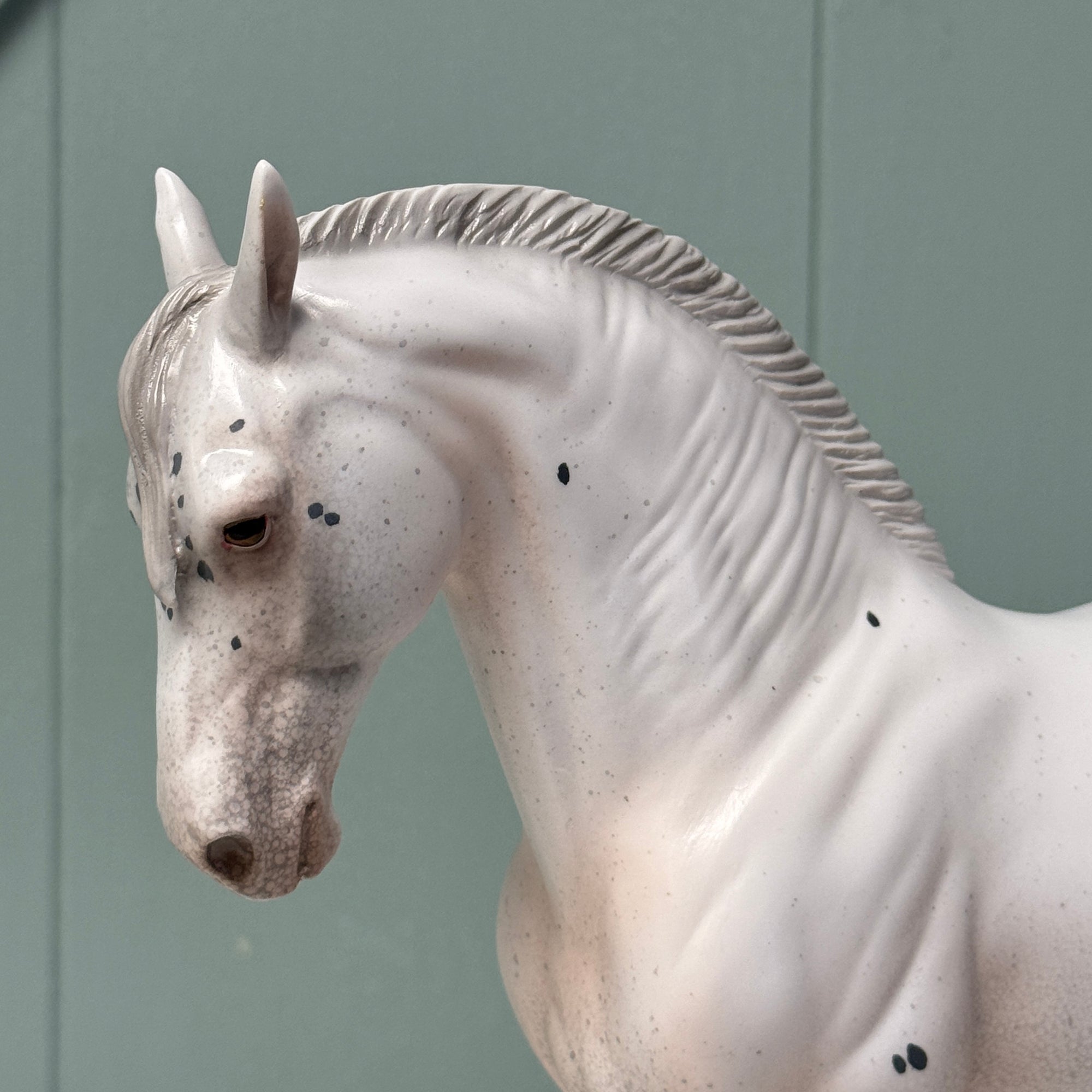 Satellite OOAK Few Spot Appaloosa Andalusian By Jess Hamill EQ24