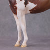 Earl Grey OOAK Roan Pinto ISH W/ Criollo Customizing Painted By Amanda Brock Best Offers 01/07/25