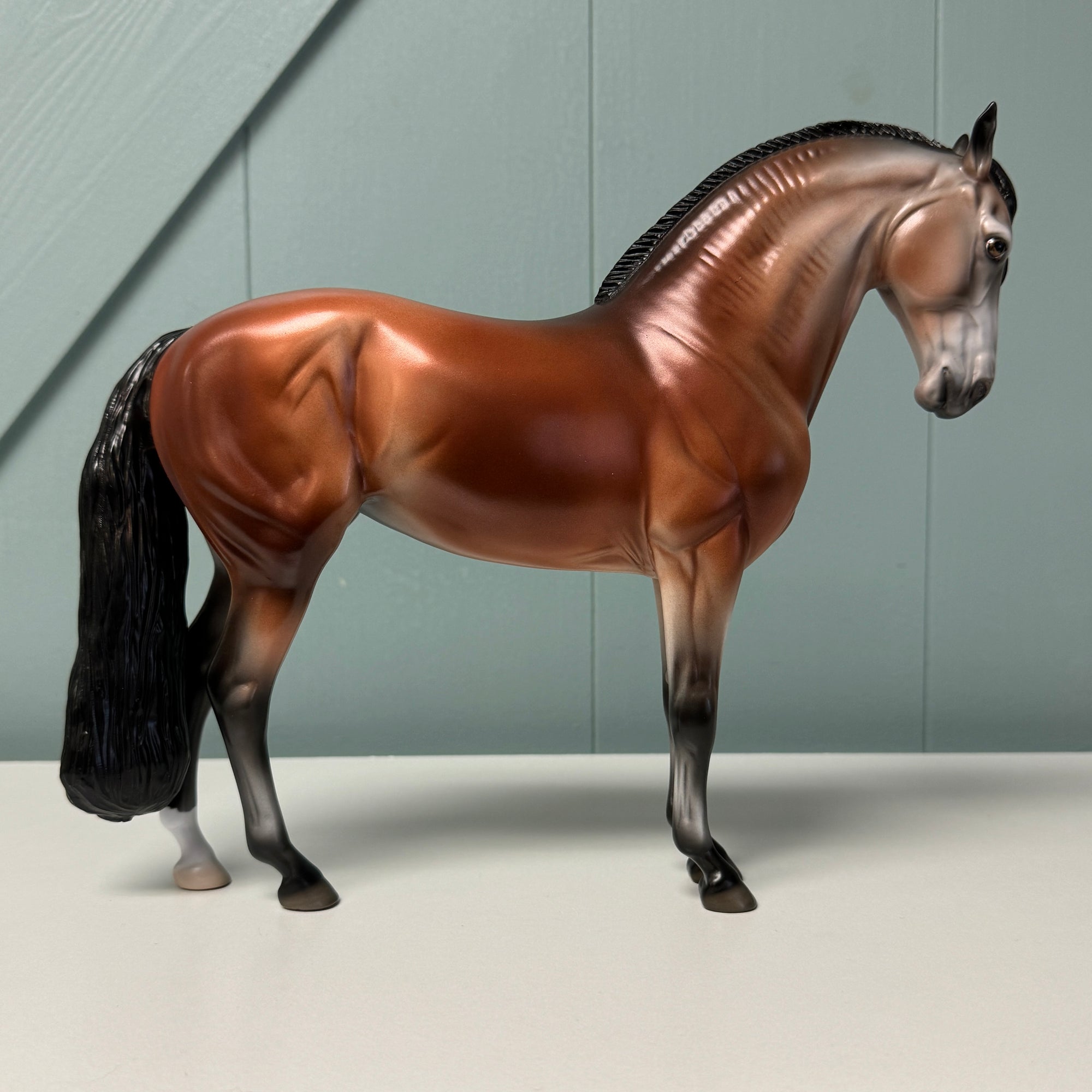 Planetesimal OOAK Bay Going Gray Andalusian Mare By Jess Hamill EQ24