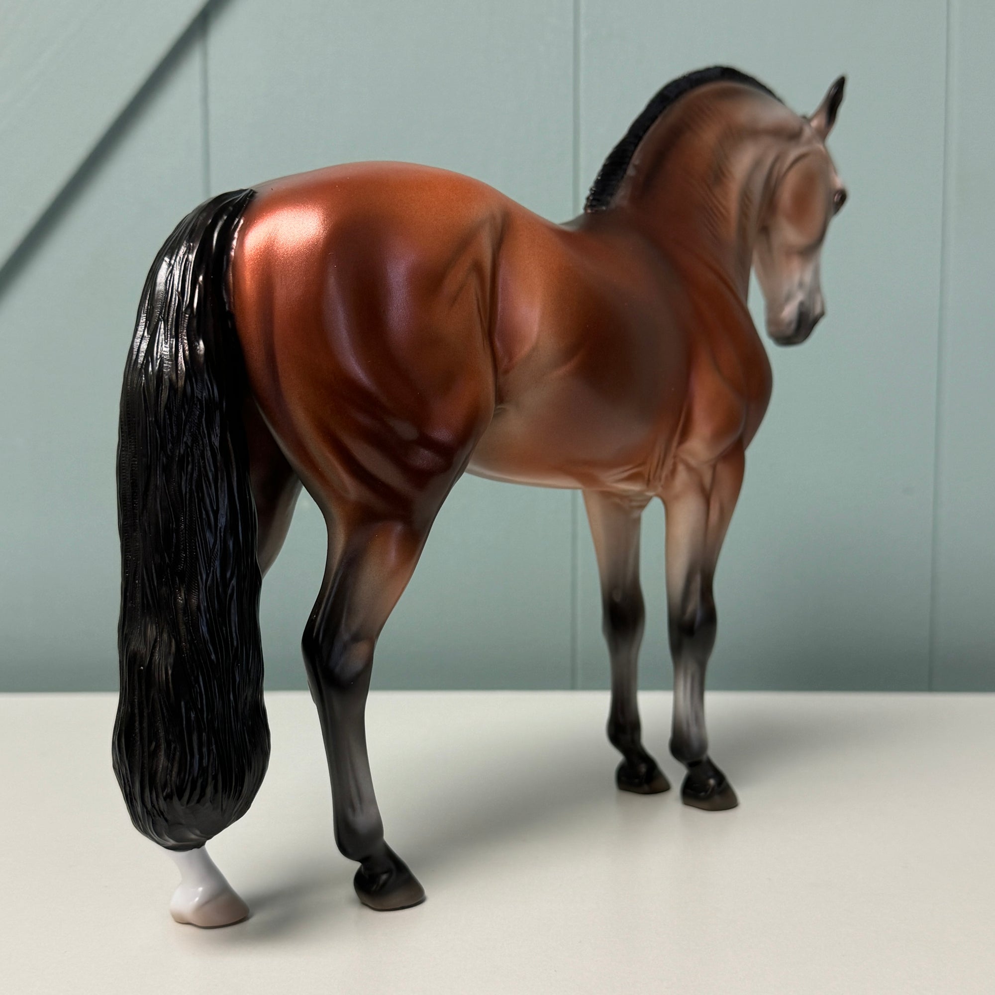 Planetesimal OOAK Bay Going Gray Andalusian Mare By Jess Hamill EQ24