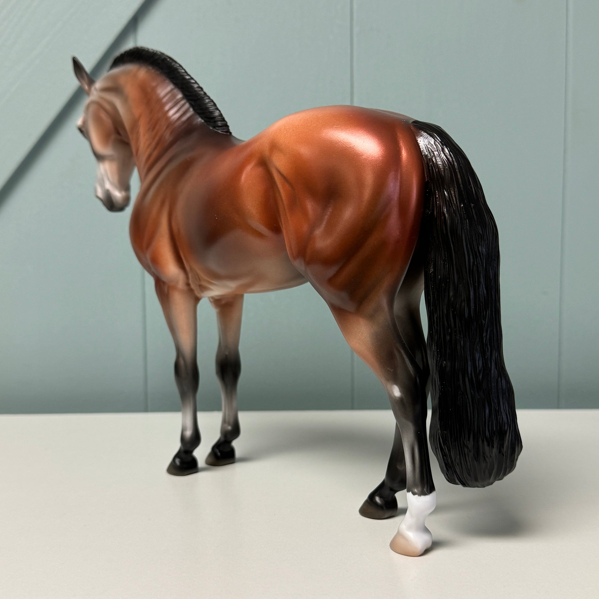 Planetesimal OOAK Bay Going Gray Andalusian Mare By Jess Hamill EQ24