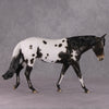 Jovie OOAK Appaloosa Large Mule Painted By Sheryl Leisure Best Offers 01/07/25