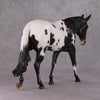 Jovie OOAK Appaloosa Large Mule Painted By Sheryl Leisure Best Offers 01/07/25