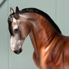 Planetesimal OOAK Bay Going Gray Andalusian Mare By Jess Hamill EQ24