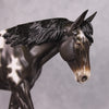 Jovie OOAK Appaloosa Large Mule Painted By Sheryl Leisure Best Offers 01/07/25