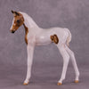 &quot;Skeeter&quot; OOAK FCM Arabian Foal by Julie Keim Auction EQ25 07/15/25