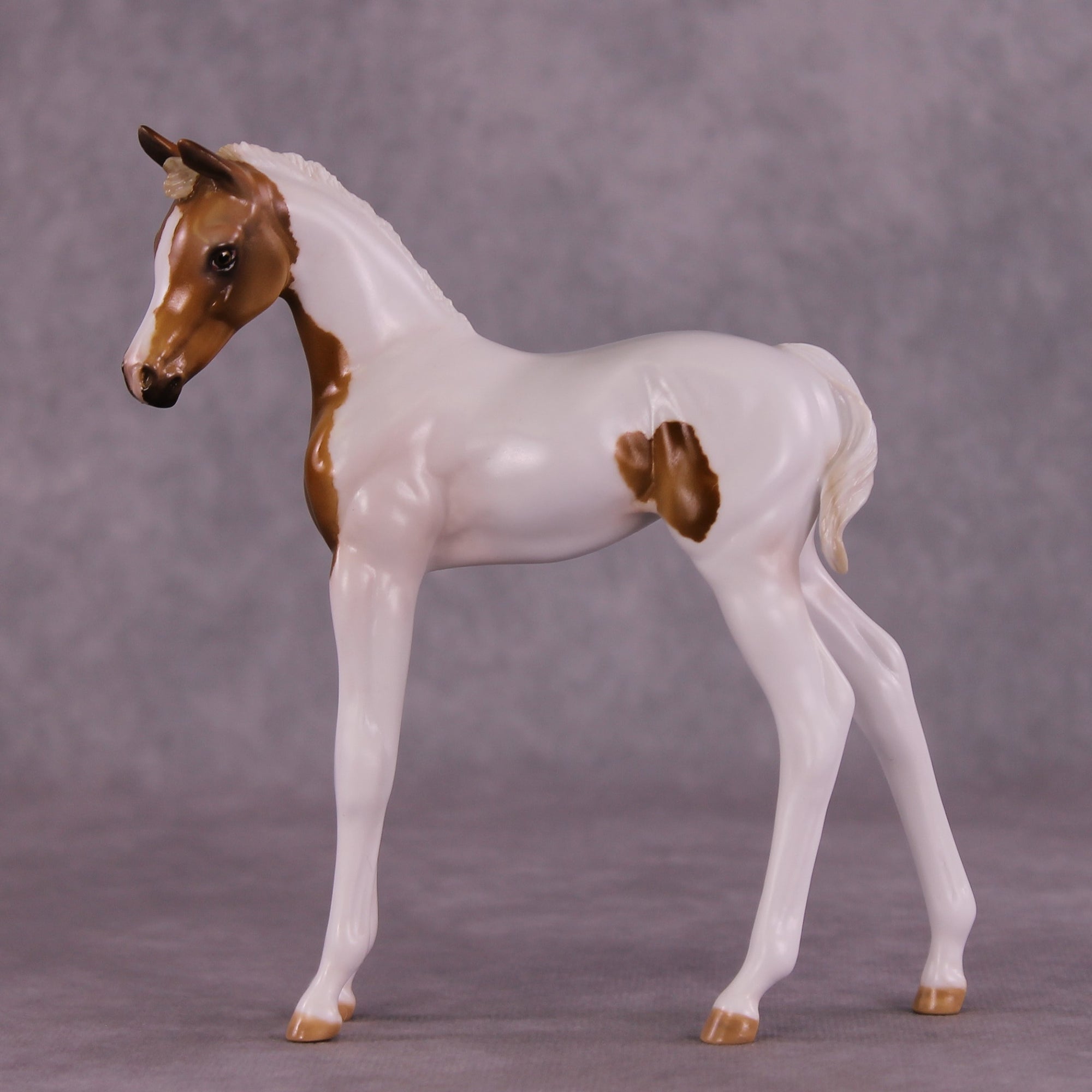 "Skeeter" OOAK FCM Arabian Foal by Julie Keim Auction EQ25 07/15/25