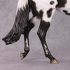 Jovie OOAK Appaloosa Large Mule Painted By Sheryl Leisure Best Offers 01/07/25