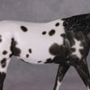 Jovie OOAK Appaloosa Large Mule Painted By Sheryl Leisure Best Offers 01/07/25