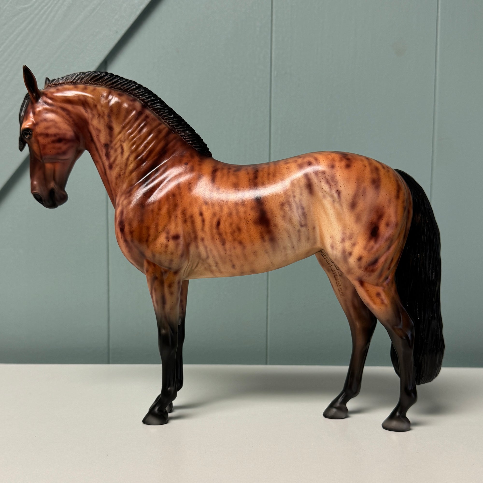 Yara OOAK Brindle Bay Andalusian By Dawn Quick EQ24