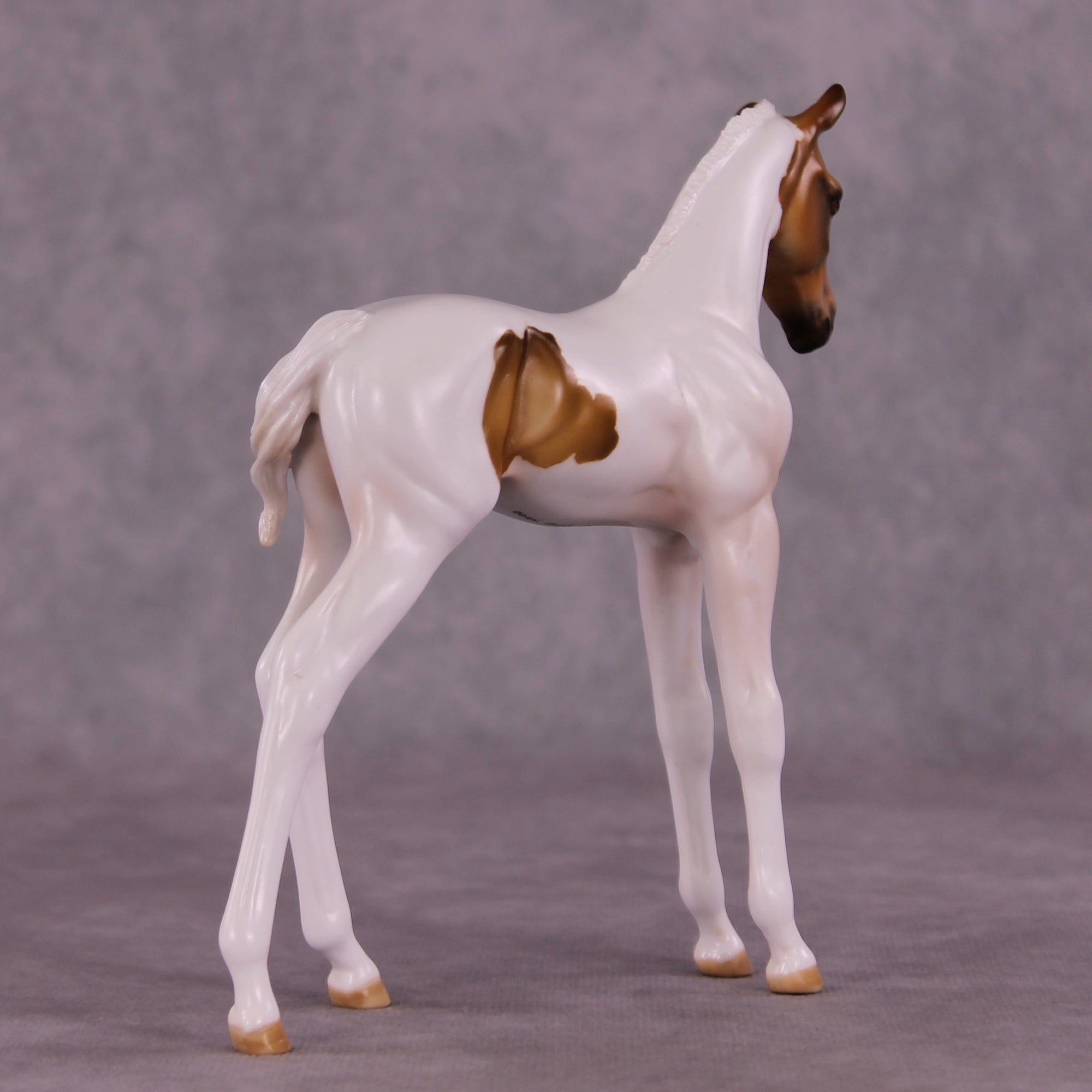 "Skeeter" OOAK FCM Arabian Foal by Julie Keim Auction EQ25 07/15/25
