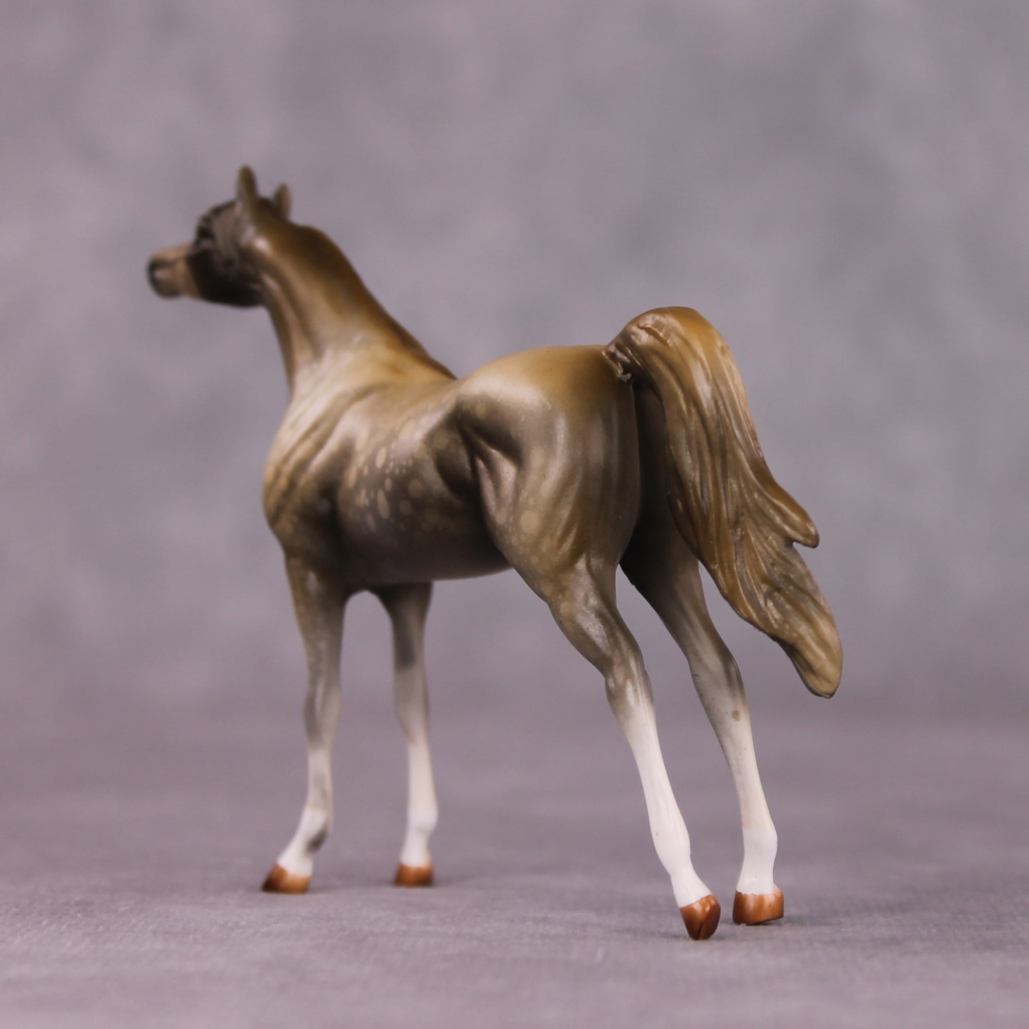 "Far and Away" OOAK Arabian Chip By Kike Duarte SHCF25OS