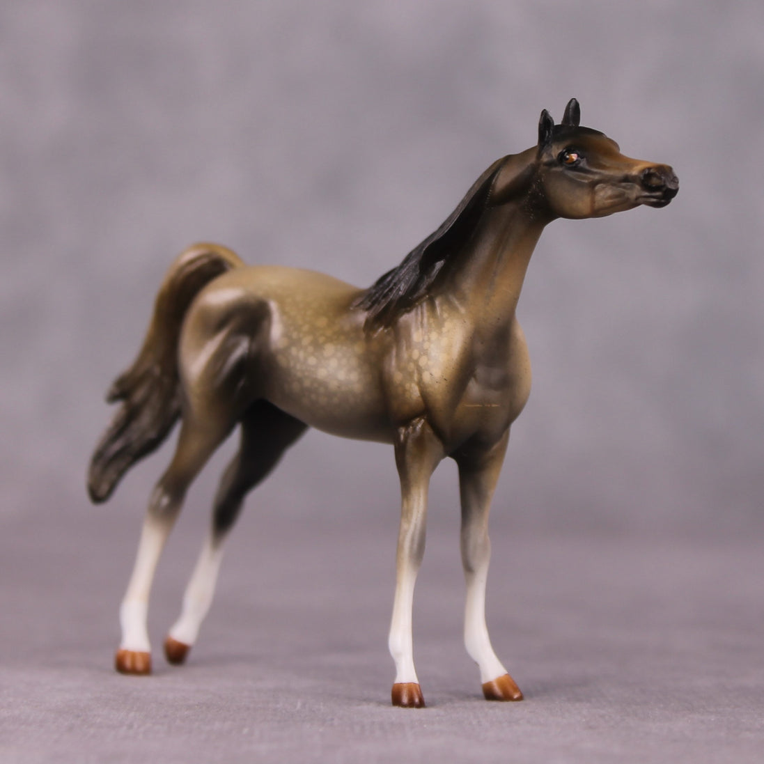 "Far and Away" OOAK Arabian Chip By Kike Duarte SHCF25OS