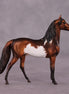 "Renaissance" OOAK Morgan Chip by Dawn Quick SHCF25OS