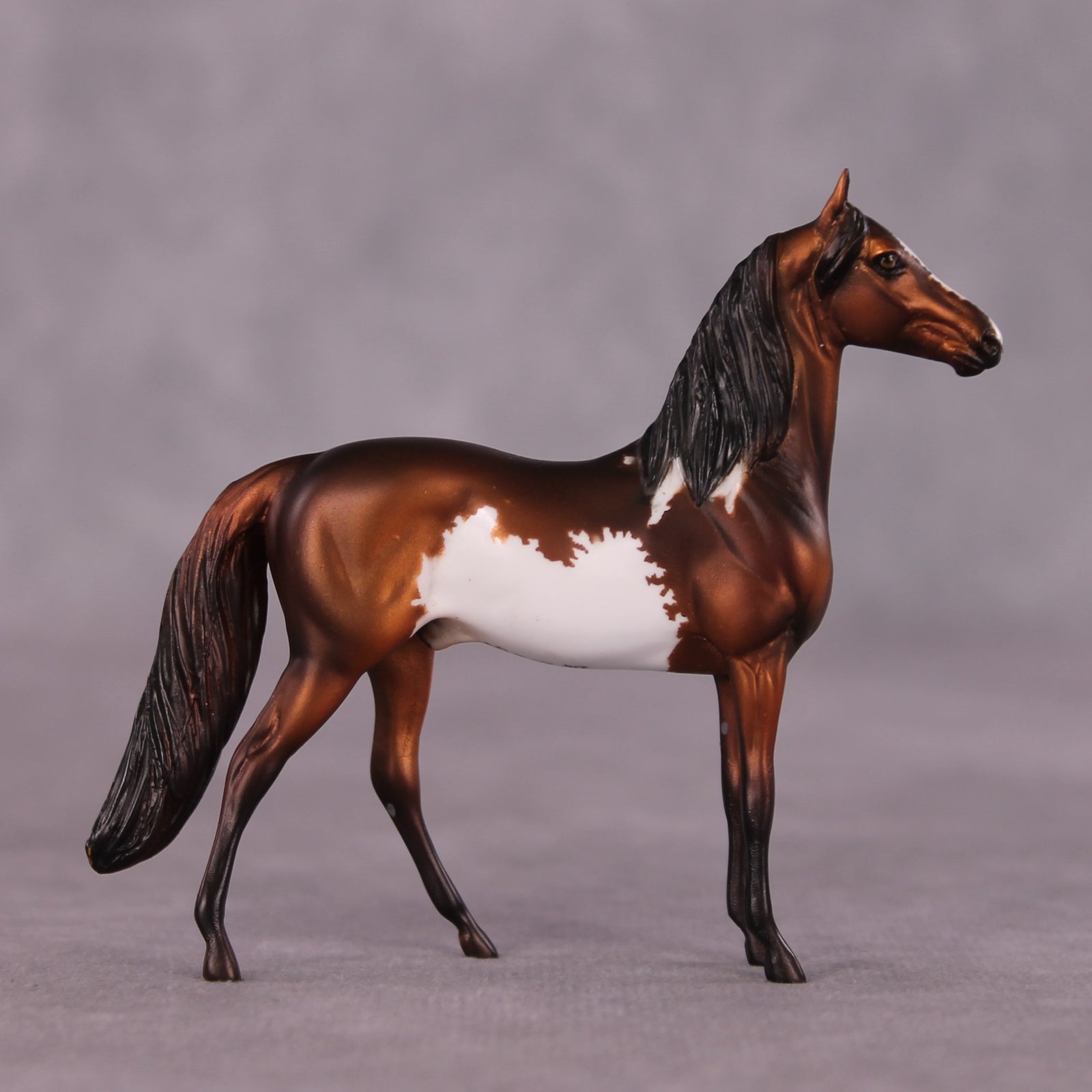 "Renaissance" OOAK Morgan Chip by Dawn Quick SHCF25OS