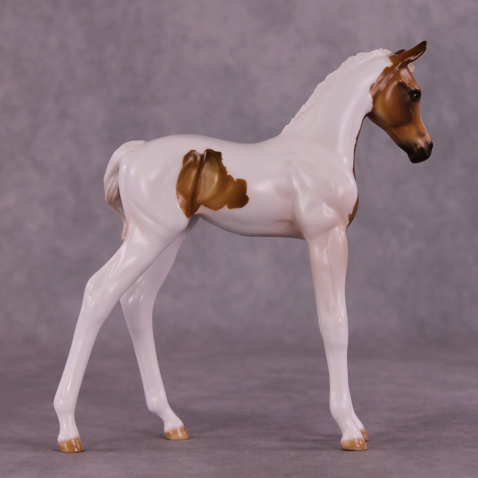 "Skeeter" OOAK FCM Arabian Foal by Julie Keim Auction EQ25 07/15/25