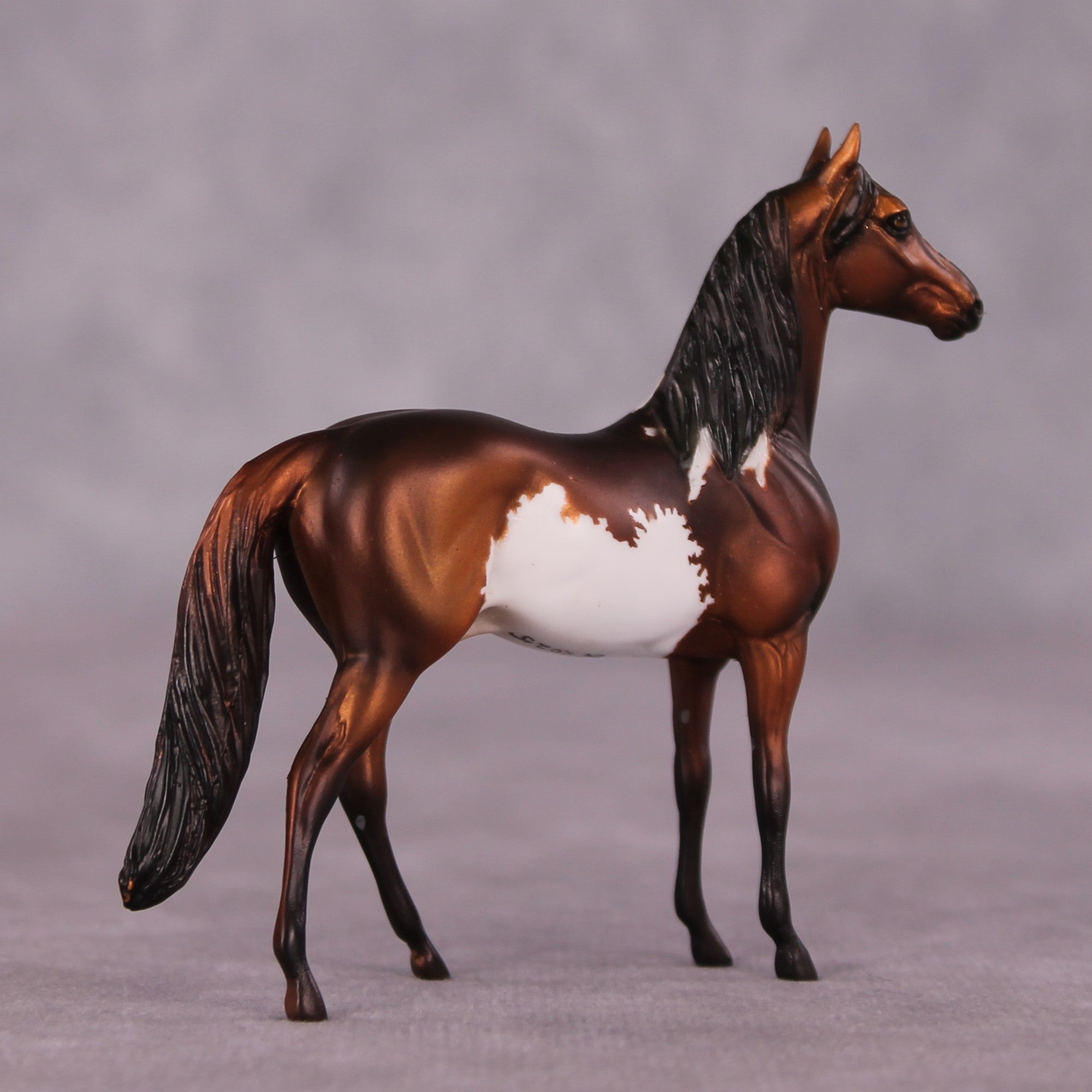 "Renaissance" OOAK Morgan Chip by Dawn Quick SHCF25OS