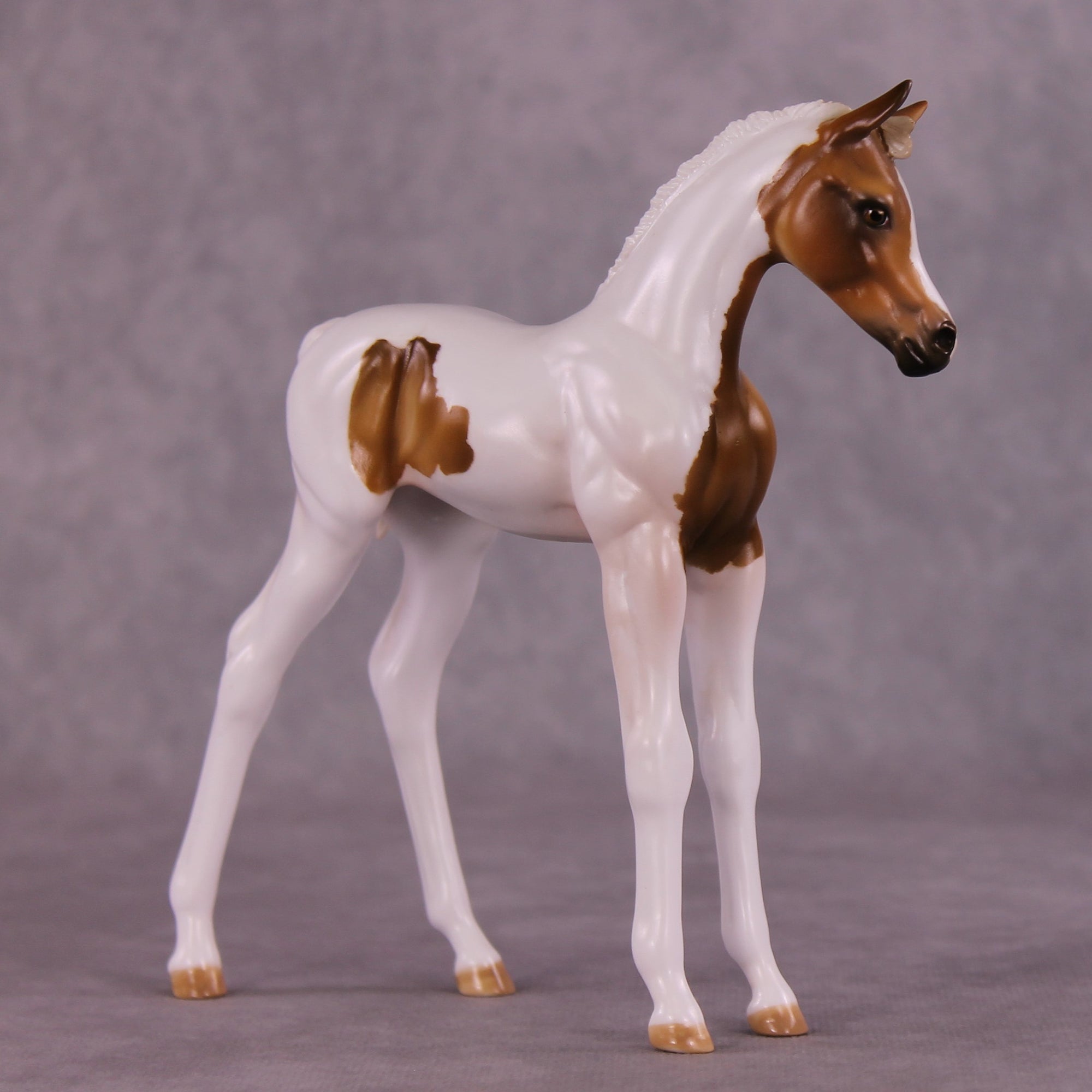 "Skeeter" OOAK FCM Arabian Foal by Julie Keim Auction EQ25 07/15/25