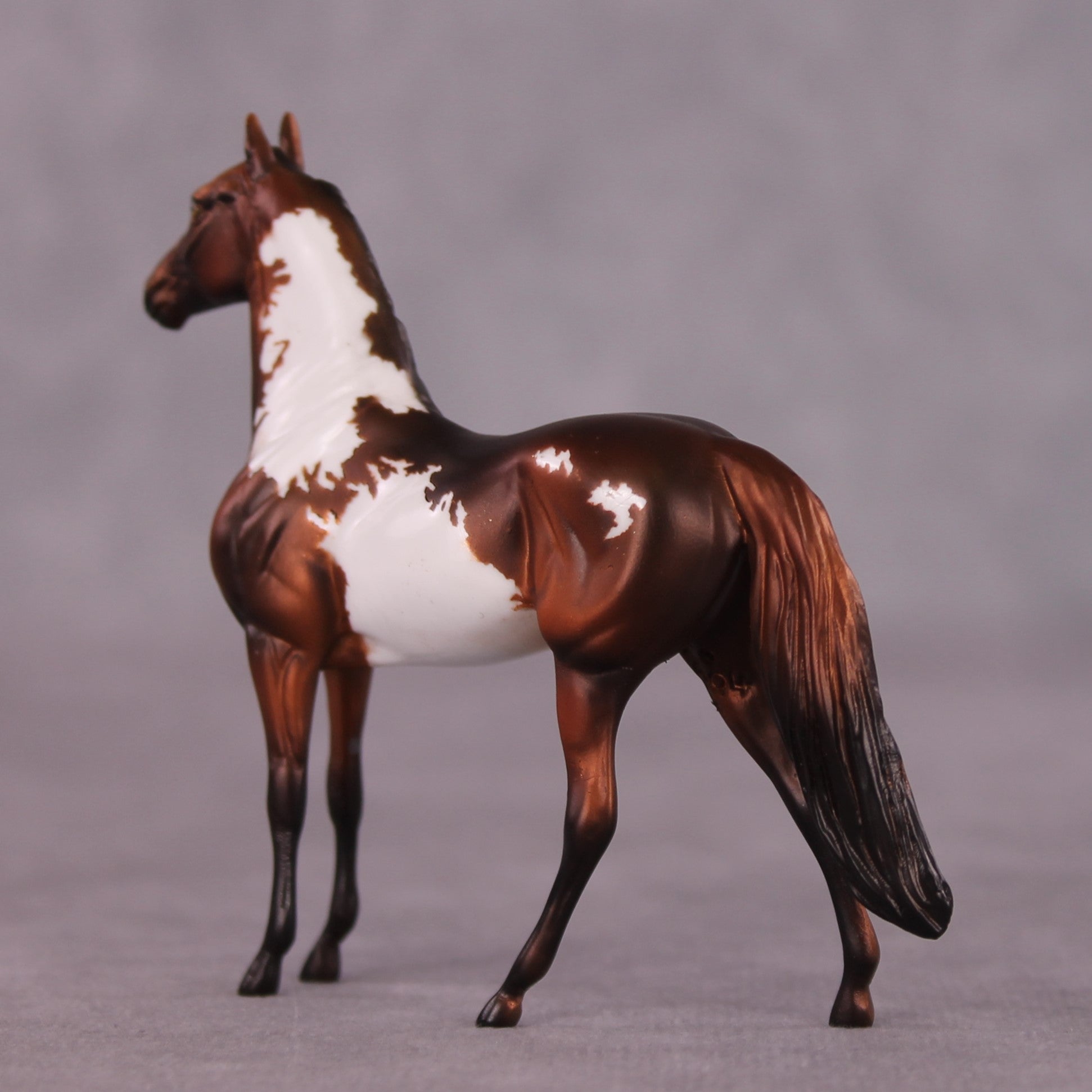 "Renaissance" OOAK Morgan Chip by Dawn Quick SHCF25OS