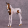 &quot;Skeeter&quot; OOAK FCM Arabian Foal by Julie Keim Auction EQ25 07/15/25