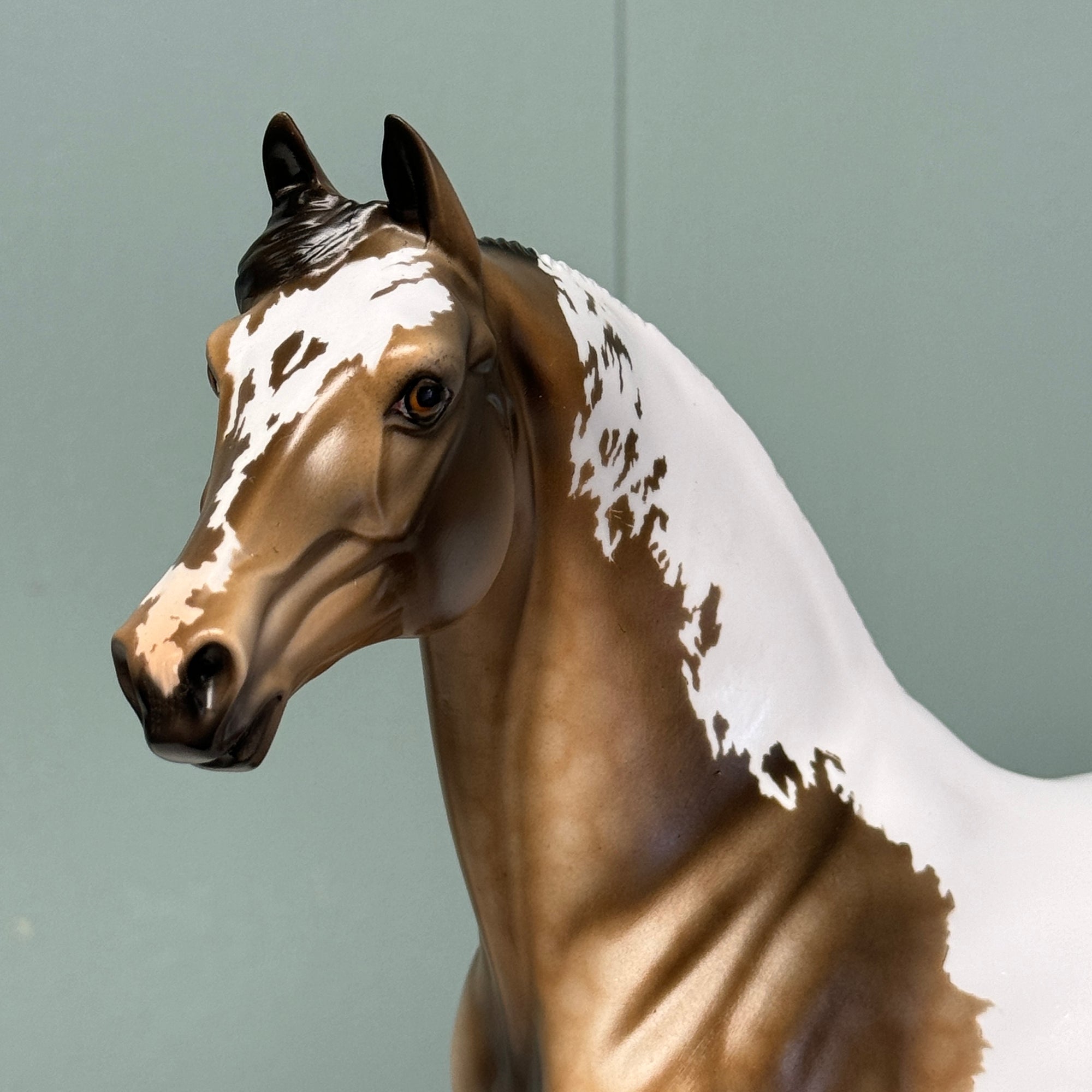 Nacho OOAK Buckskin Tobiano Morgan By Dawn Quick EQ24