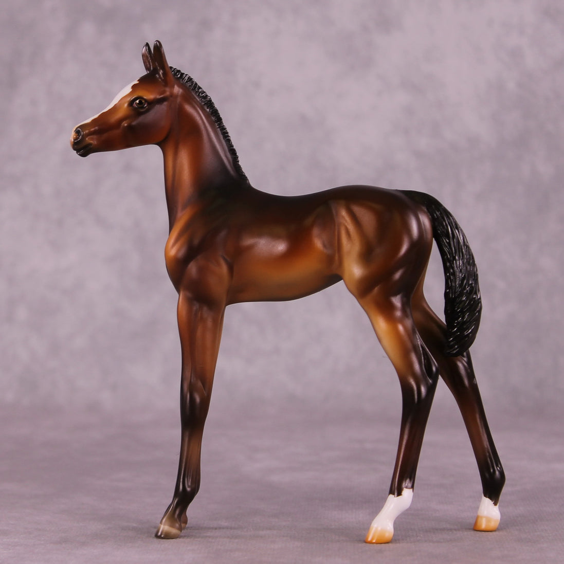 "Zigzag" OOAK FCM Arabian Foal by Julie Keim EQ25