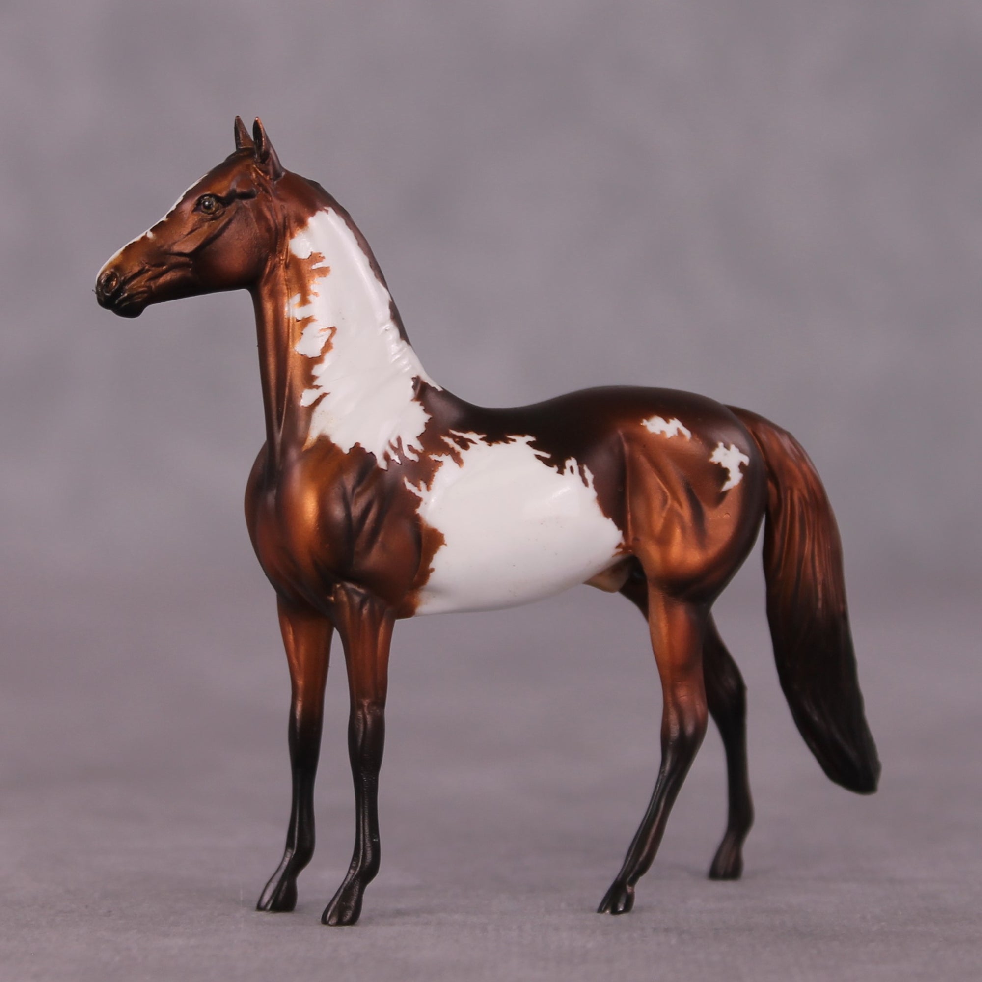 "Renaissance" OOAK Morgan Chip by Dawn Quick SHCF25OS