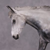 First Ever OOAK Dapple Grey Large Mule Painted By Kylee Parks Best Offers 01/07/25