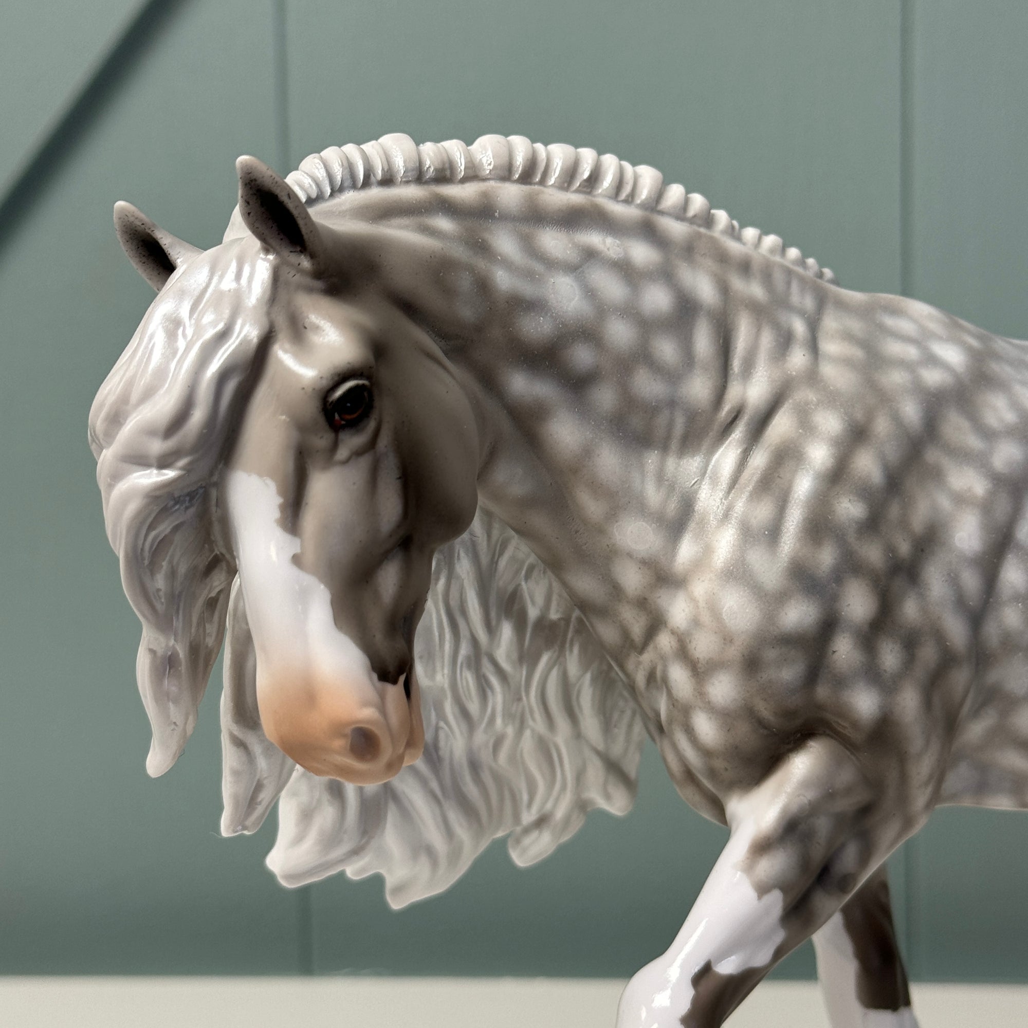 Jagger OOAK Star Dapple Gray Irish Cob By Dawn Quick EQ24