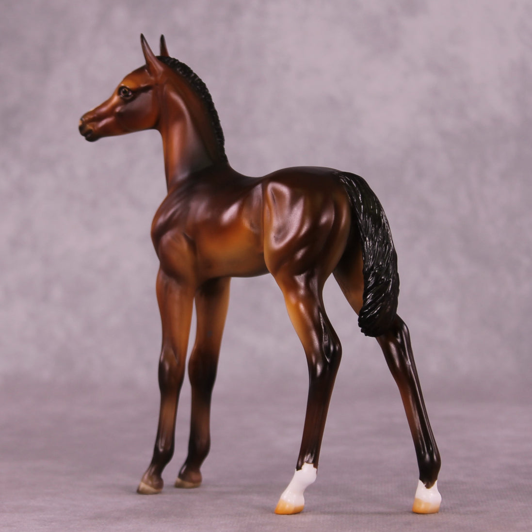 "Zigzag" OOAK FCM Arabian Foal by Julie Keim EQ25
