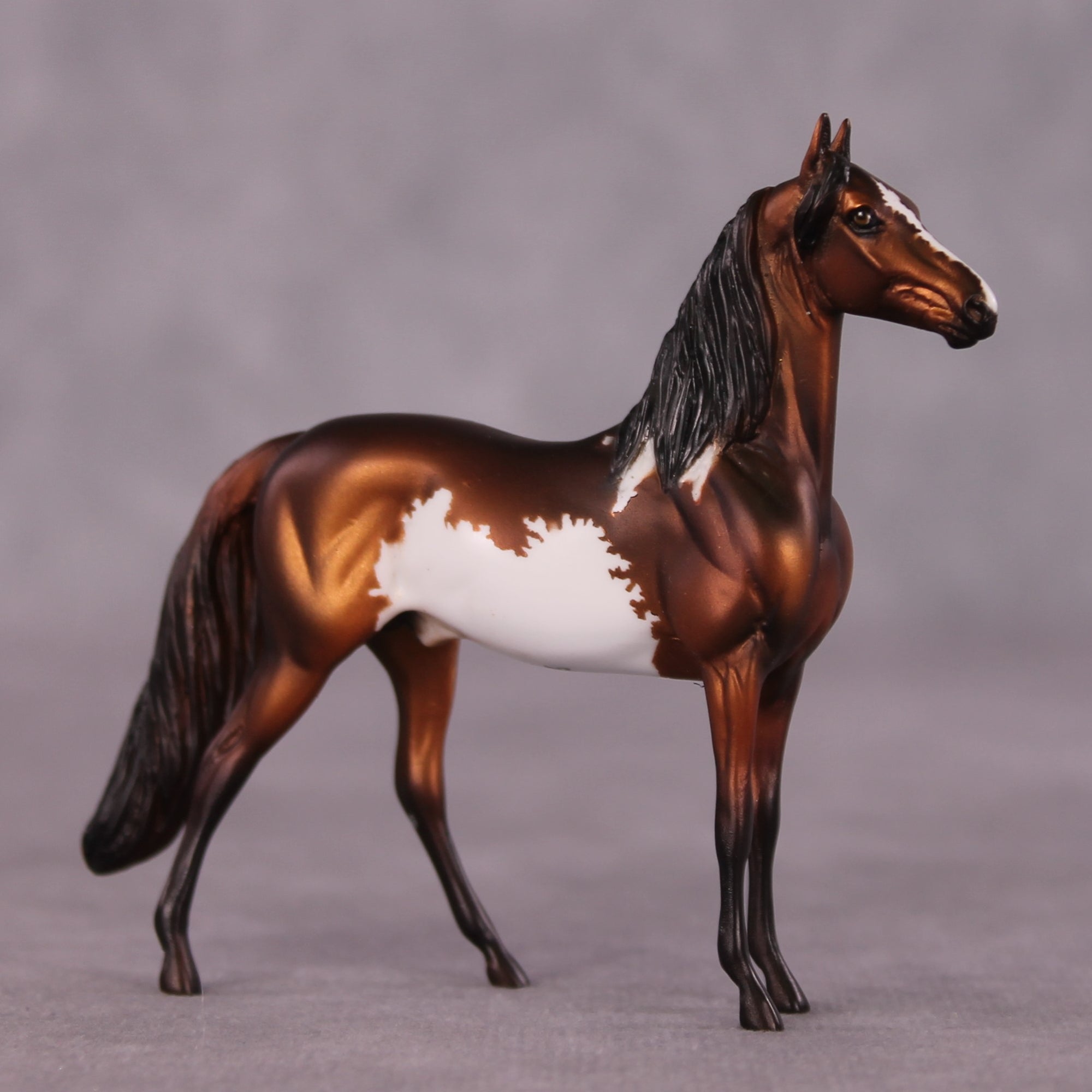 "Renaissance" OOAK Morgan Chip by Dawn Quick SHCF25OS