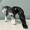 Rocket OOAK Black Sabino W/ Braided Mane &amp; Forelock Irish Cob By Dawn Quick EQ24