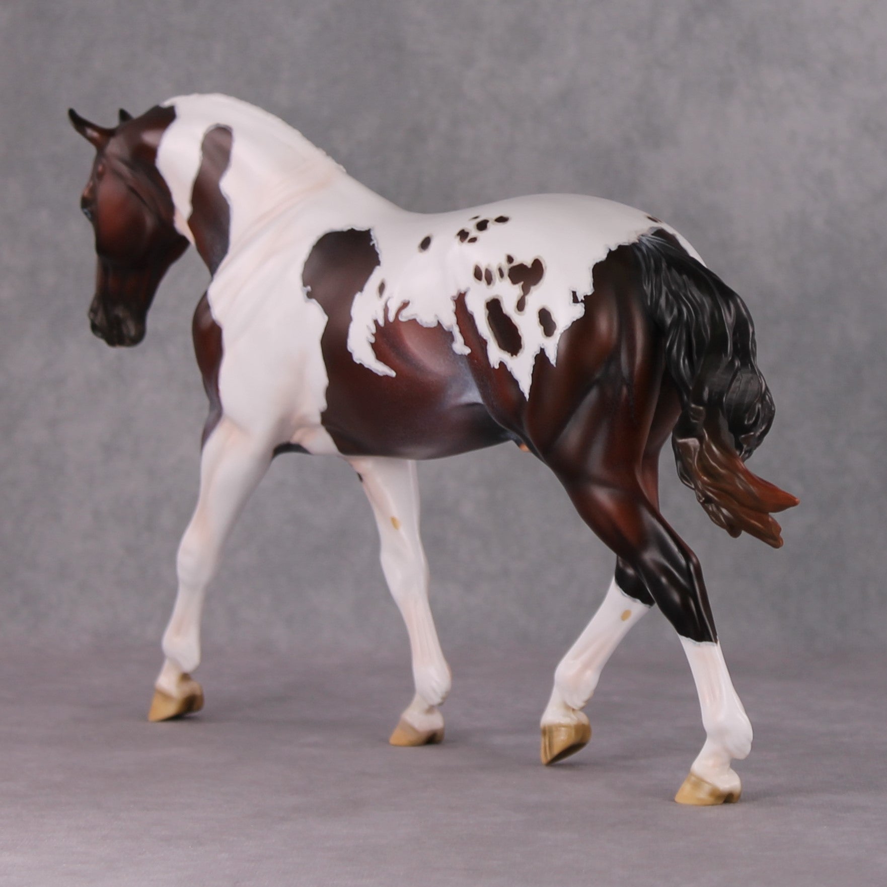 "Darjeeling" OOAK Roan Pintaloosa Irish Draught Painted By Amanda Brock Best Offers 01/07/25