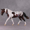 Darjeeling OOAK Roan Pintaloosa Irish Draught Painted By Amanda Brock Best Offers 01/07/25