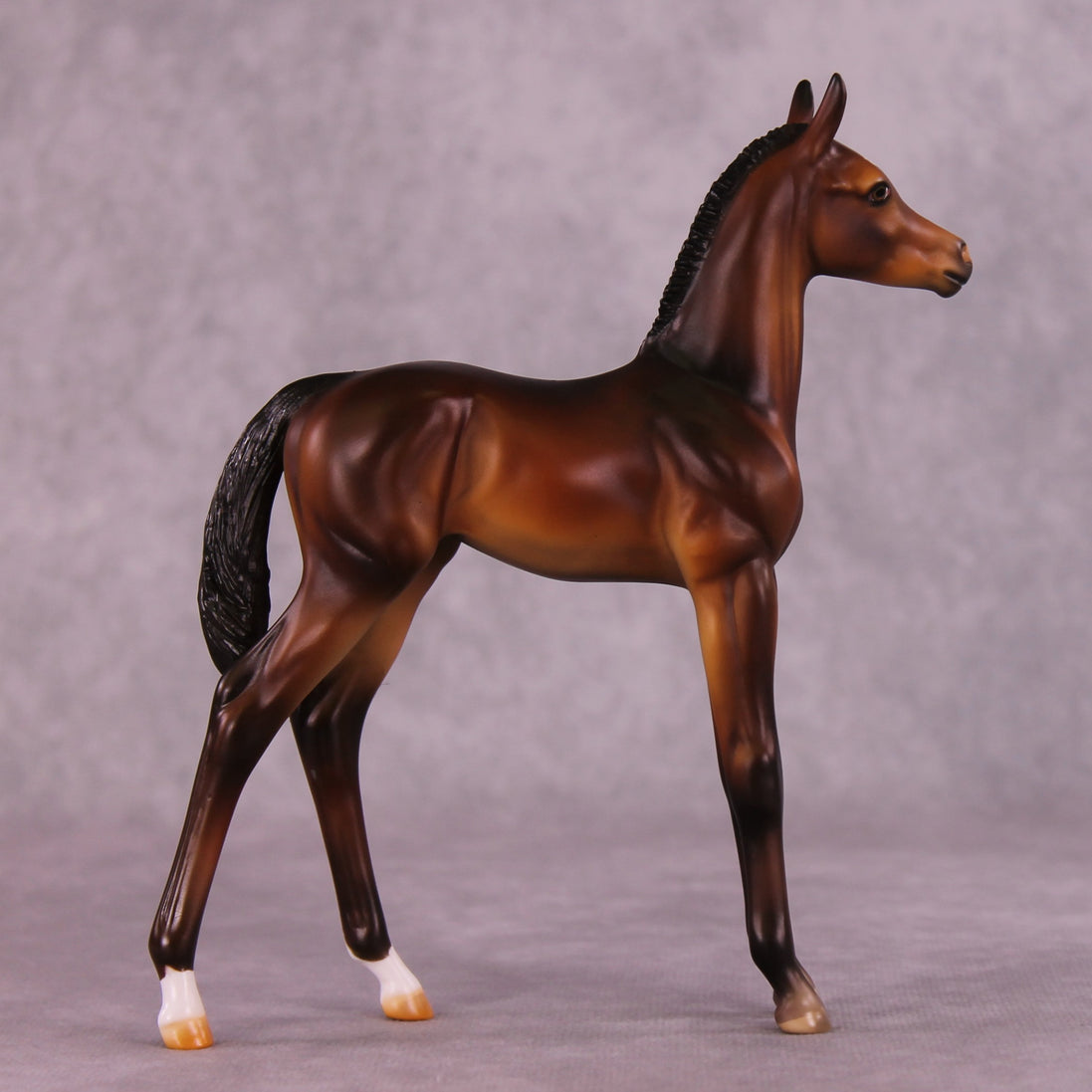 "Zigzag" OOAK FCM Arabian Foal by Julie Keim EQ25