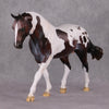 Darjeeling OOAK Roan Pintaloosa Irish Draught Painted By Amanda Brock Best Offers 01/07/25