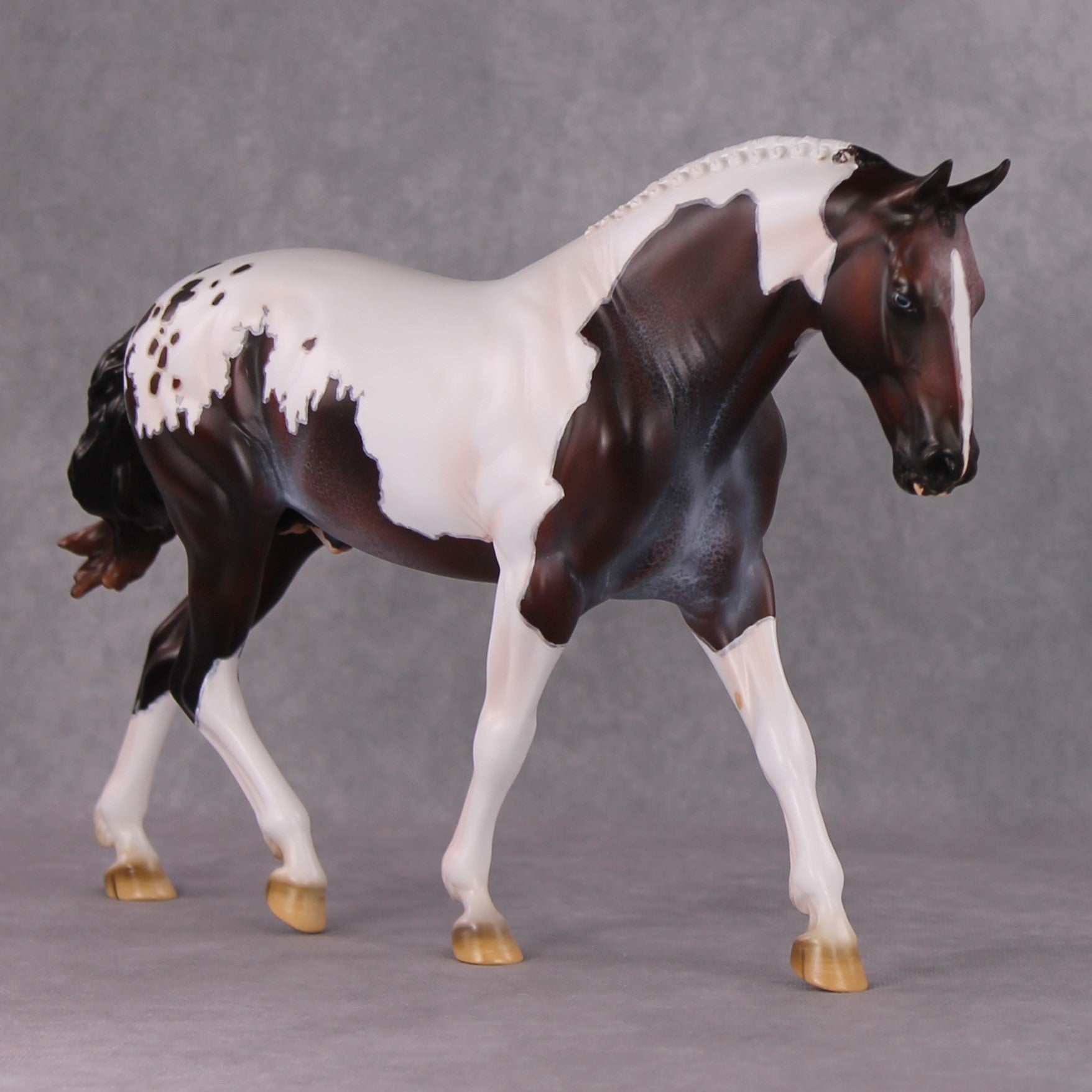 "Darjeeling" OOAK Roan Pintaloosa Irish Draught Painted By Amanda Brock Best Offers 01/07/25