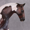 Darjeeling OOAK Roan Pintaloosa Irish Draught Painted By Amanda Brock Best Offers 01/07/25