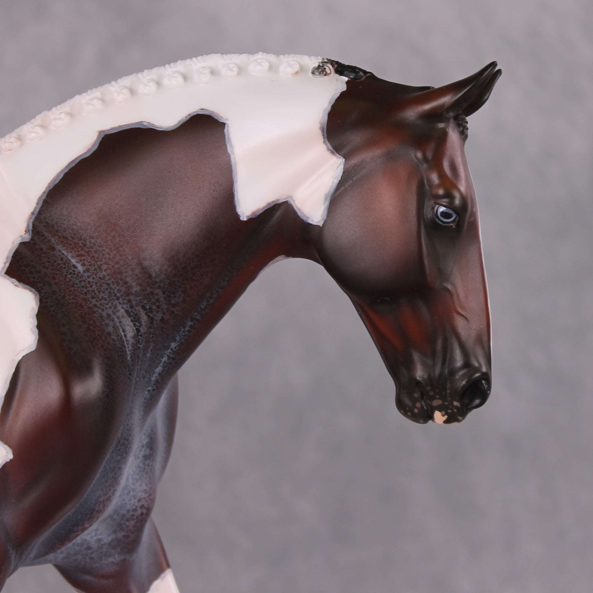 "Darjeeling" OOAK Roan Pintaloosa Irish Draught Painted By Amanda Brock Best Offers 01/07/25