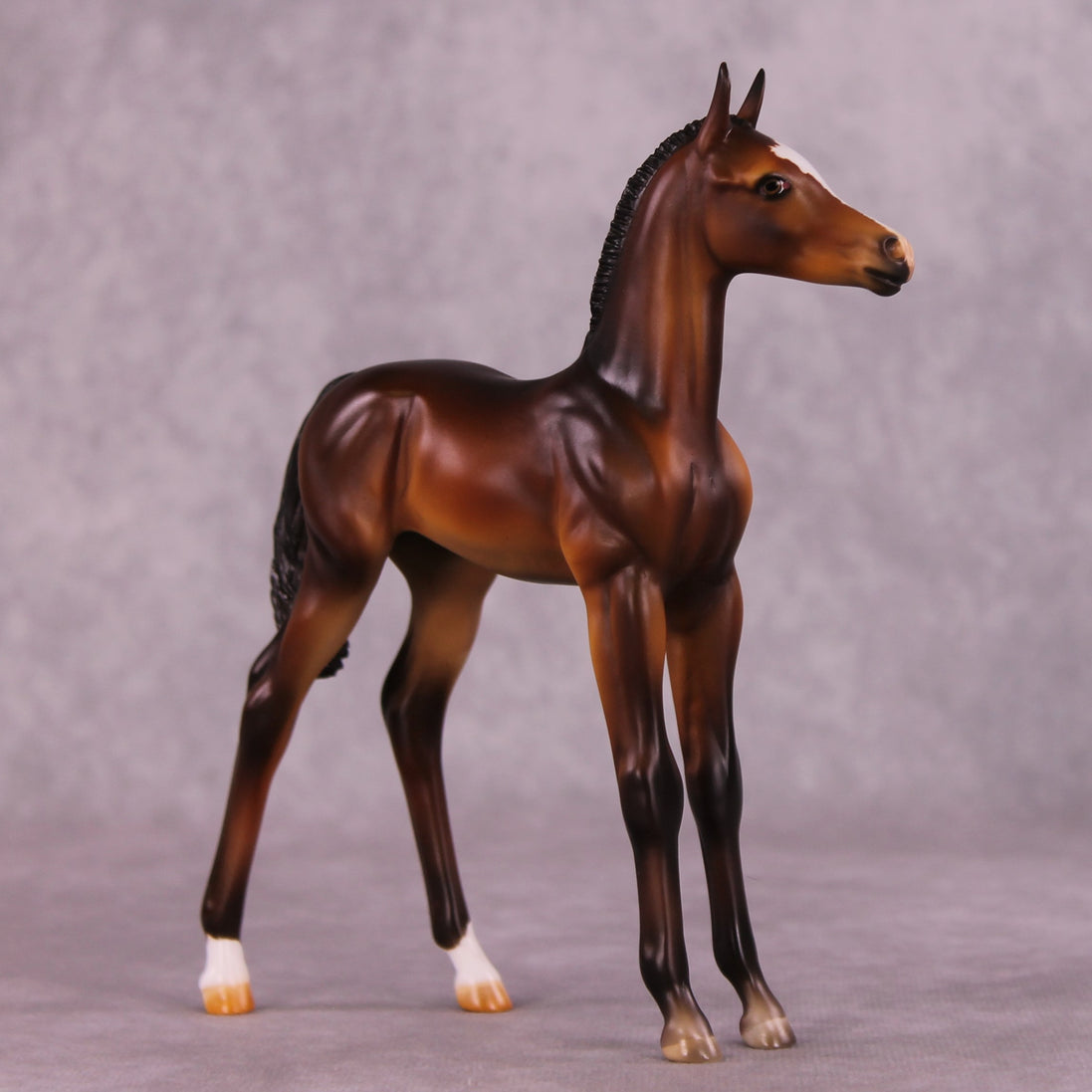 "Zigzag" OOAK FCM Arabian Foal by Julie Keim EQ25