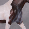 Darjeeling OOAK Roan Pintaloosa Irish Draught Painted By Amanda Brock Best Offers 01/07/25