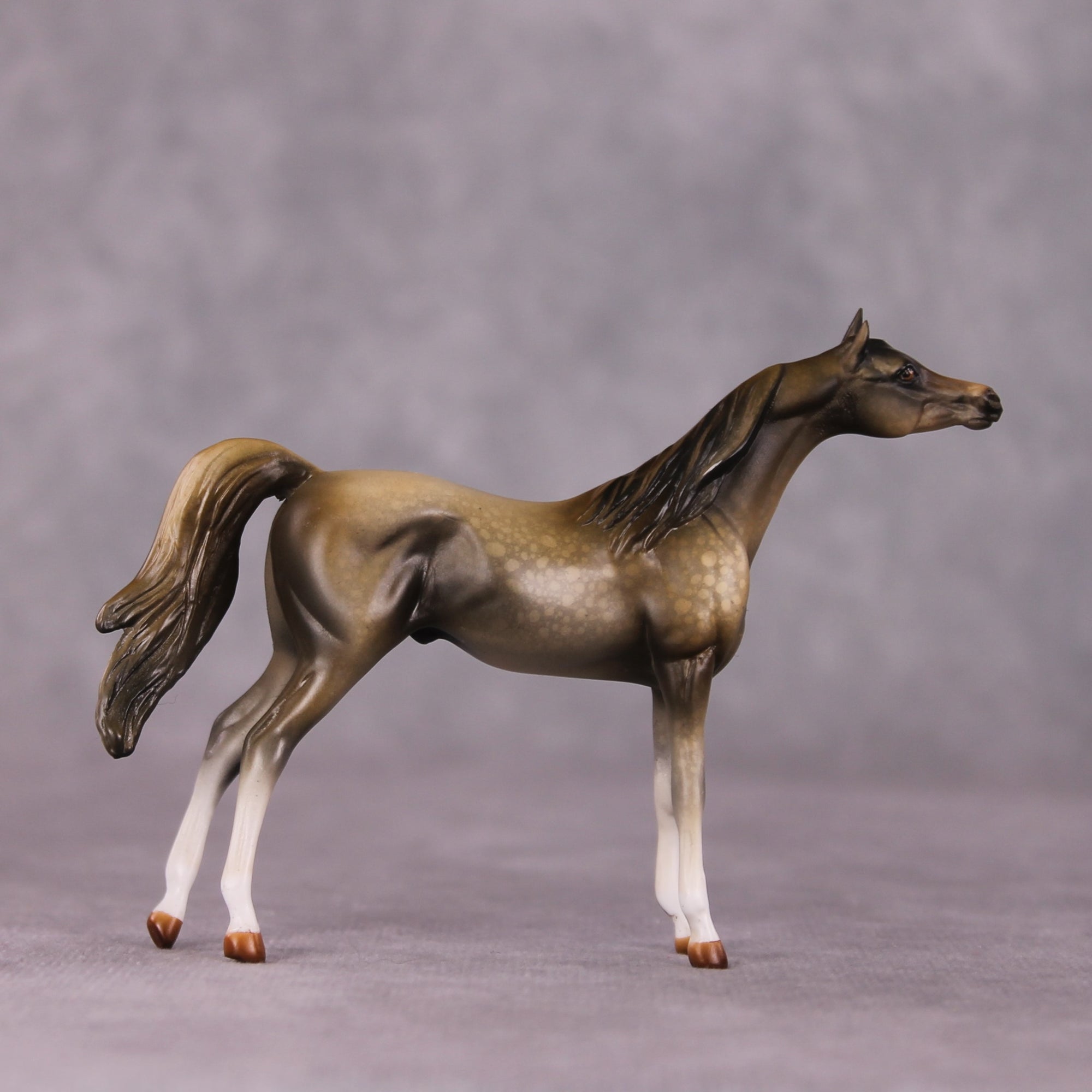 "Far and Away" OOAK Arabian Chip By Kike Duarte SHCF25OS