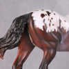 Darjeeling OOAK Roan Pintaloosa Irish Draught Painted By Amanda Brock Best Offers 01/07/25