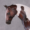 Darjeeling OOAK Roan Pintaloosa Irish Draught Painted By Amanda Brock Best Offers 01/07/25