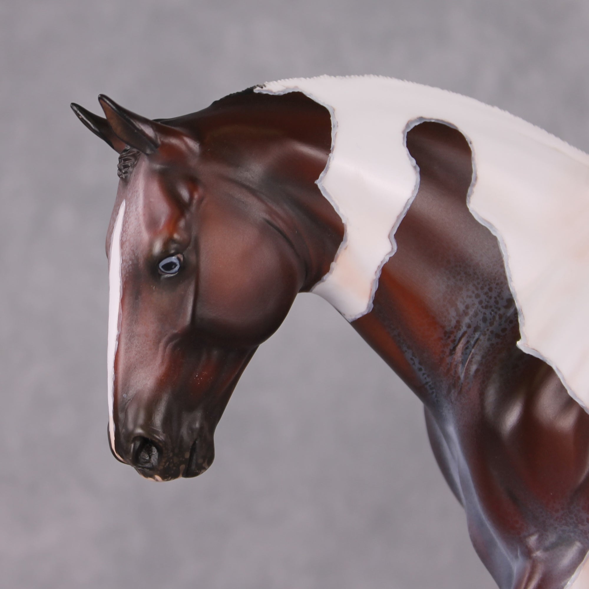"Darjeeling" OOAK Roan Pintaloosa Irish Draught Painted By Amanda Brock Best Offers 01/07/25